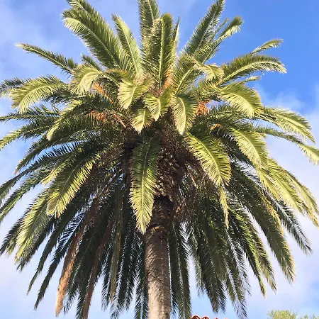 Hébergement de vacances Casa Shanti La Palma *